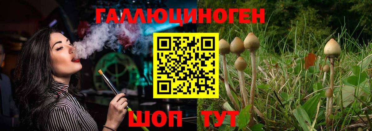 Людиново  Псилоцибиновые грибы мицелий  Вход с VPN  Псилоцибиновые грибы GOLDEN TEACHER 
